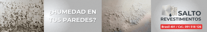¿HUMEDAD EN TUS PAREDES?
